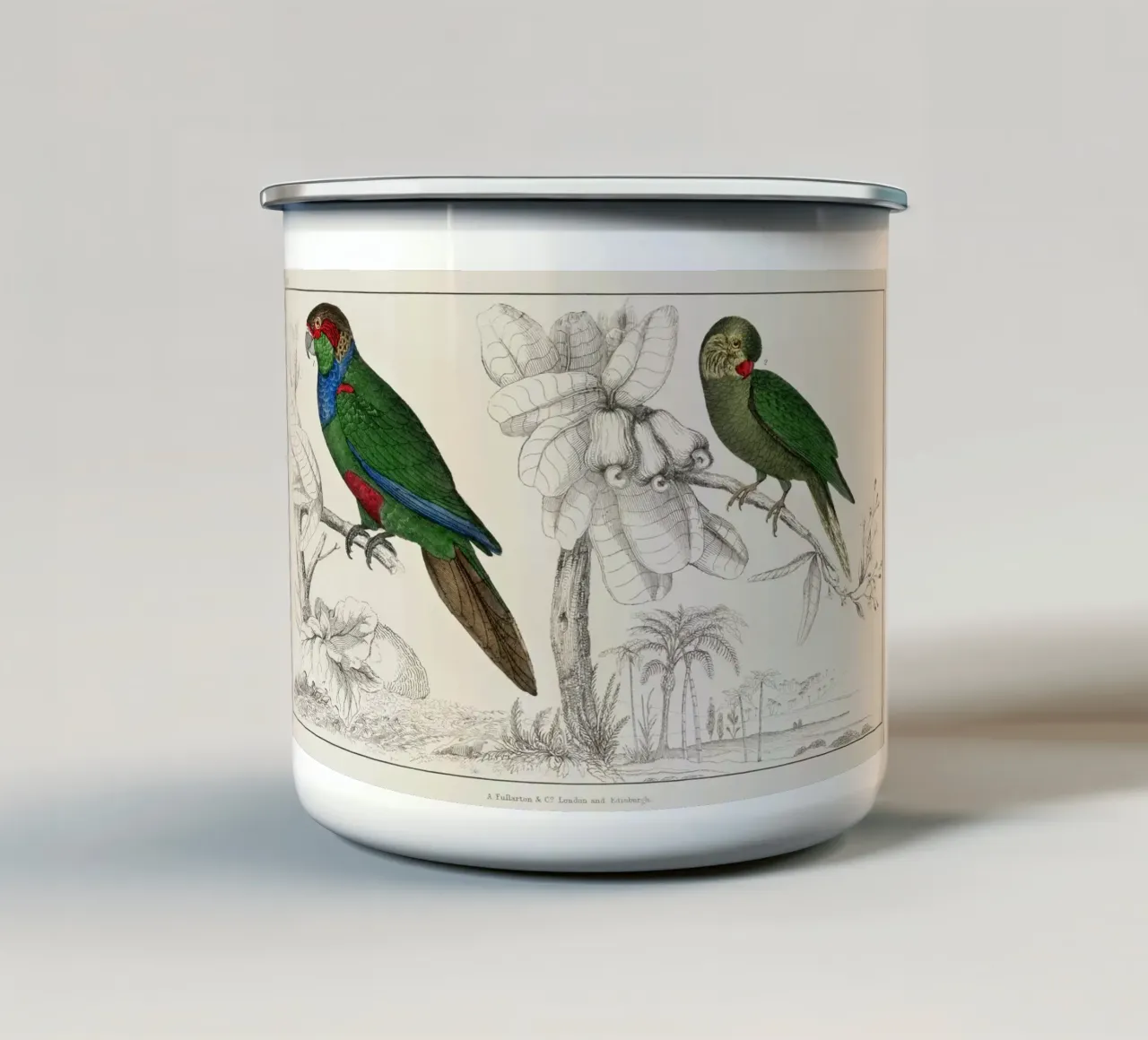 a rare antique hand colored tableau of two parakeets. tazza in smalto da vintageshop