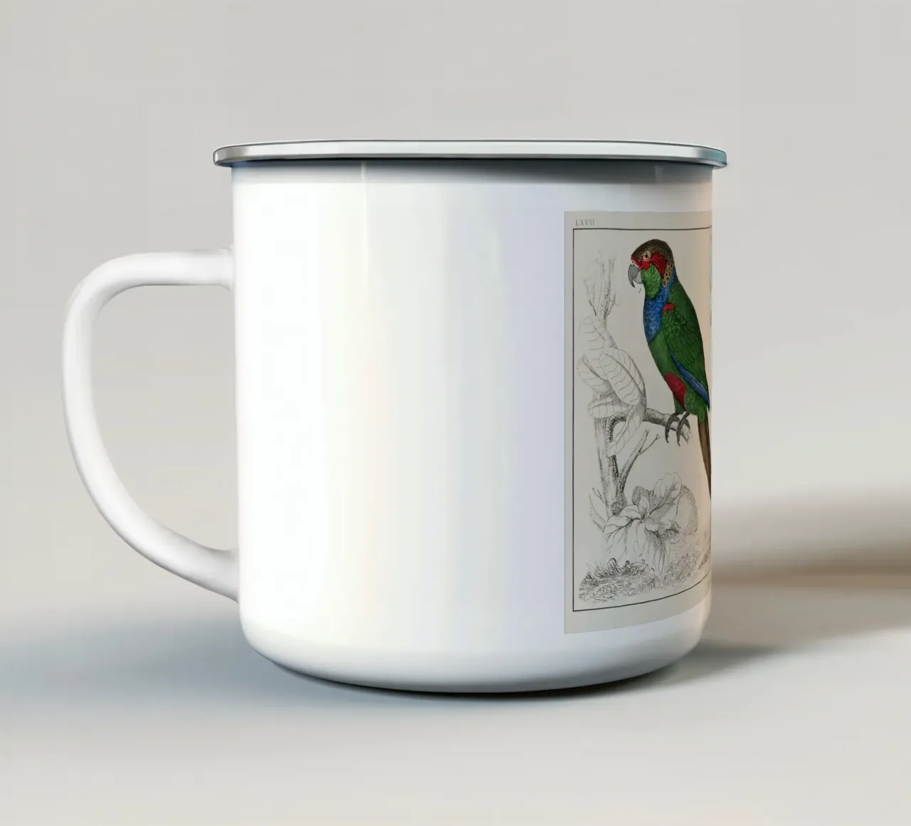 a rare antique hand colored tableau of two parakeets. tazza in smalto da vintageshop