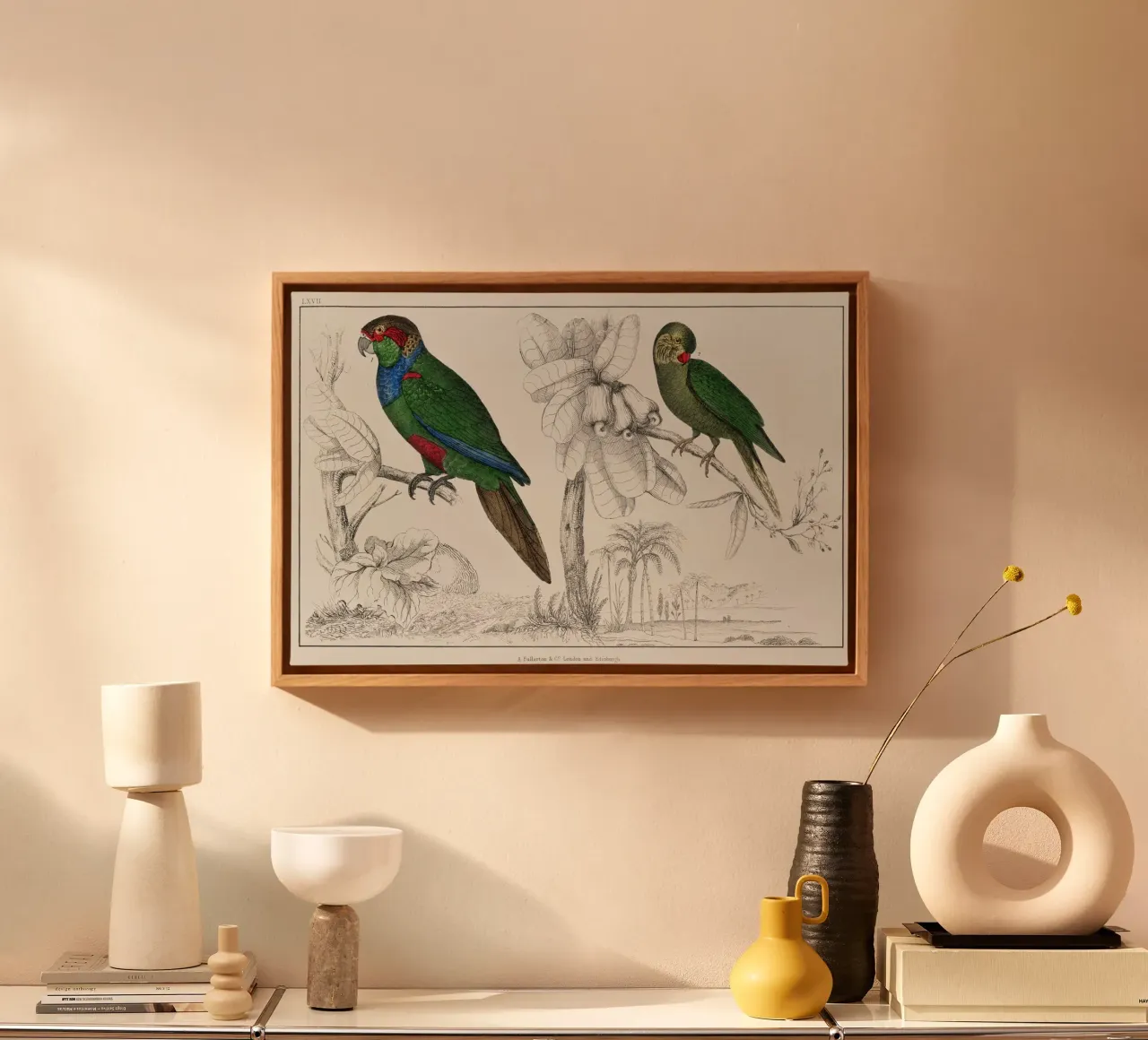 a rare antique hand colored tableau of two parakeets. tela con Cornice a cassetta da vintageshop