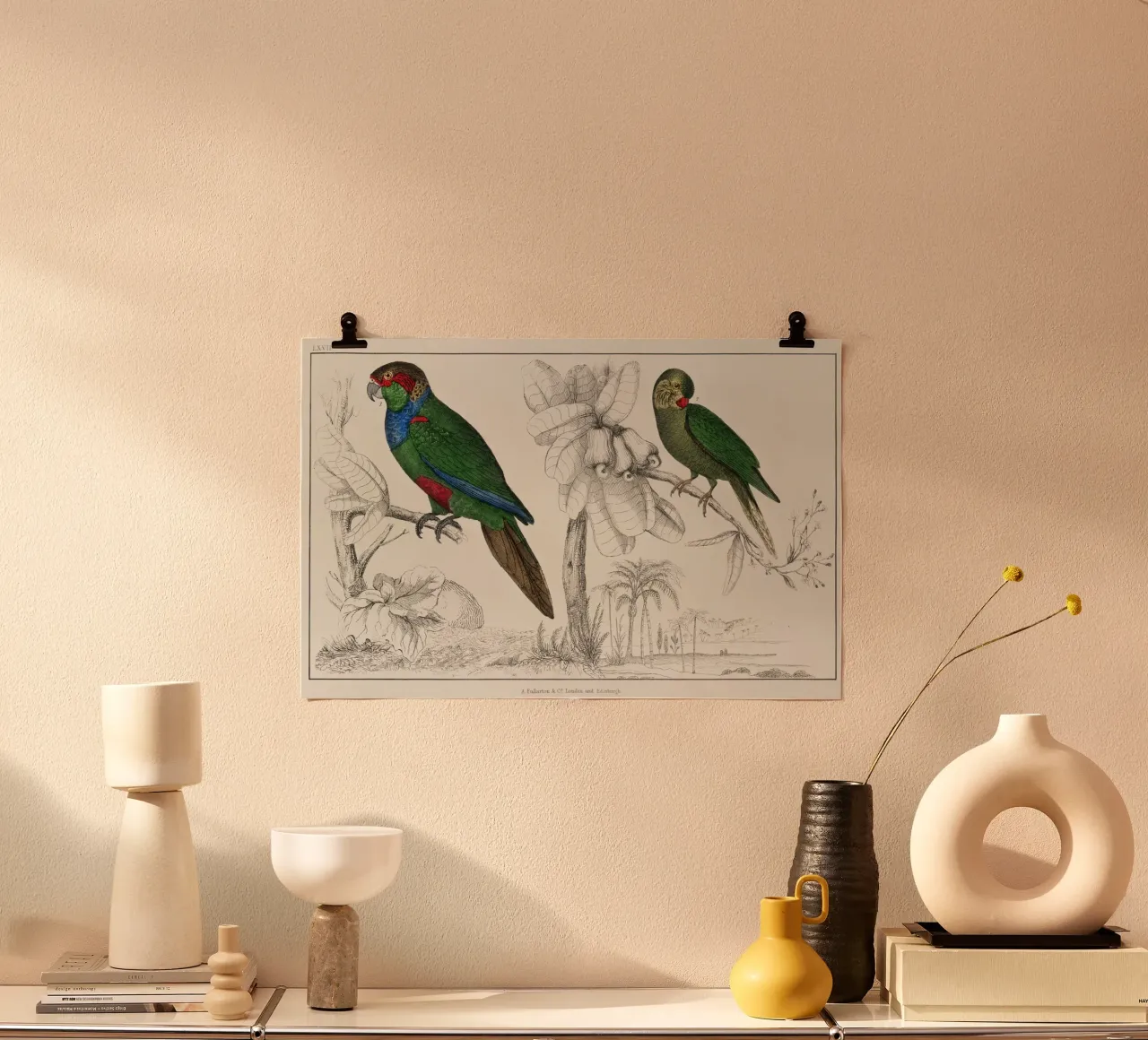 a rare antique hand colored tableau of two parakeets. poster con telaio in legno da vintageshop