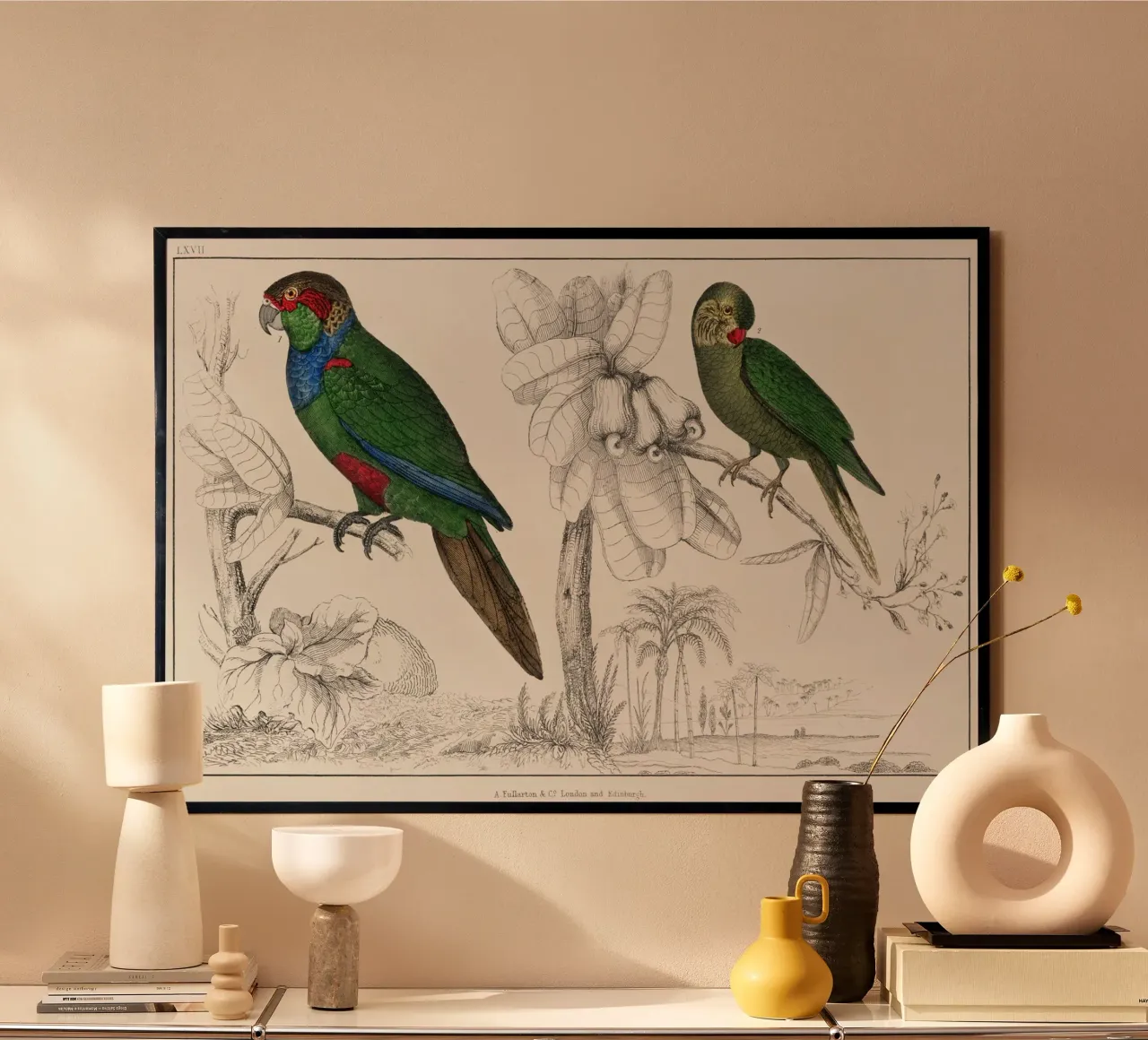 a rare antique hand colored tableau of two parakeets. poster con telaio in legno da vintageshop