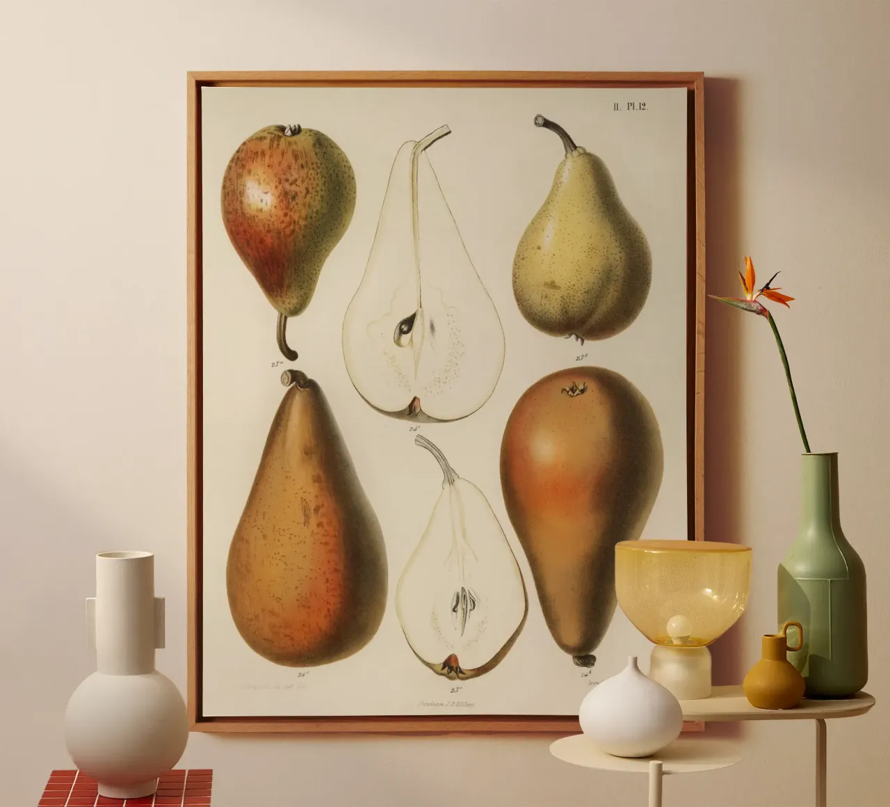 vintage  fresh pears printed canvas with Floater frame by vintageshop