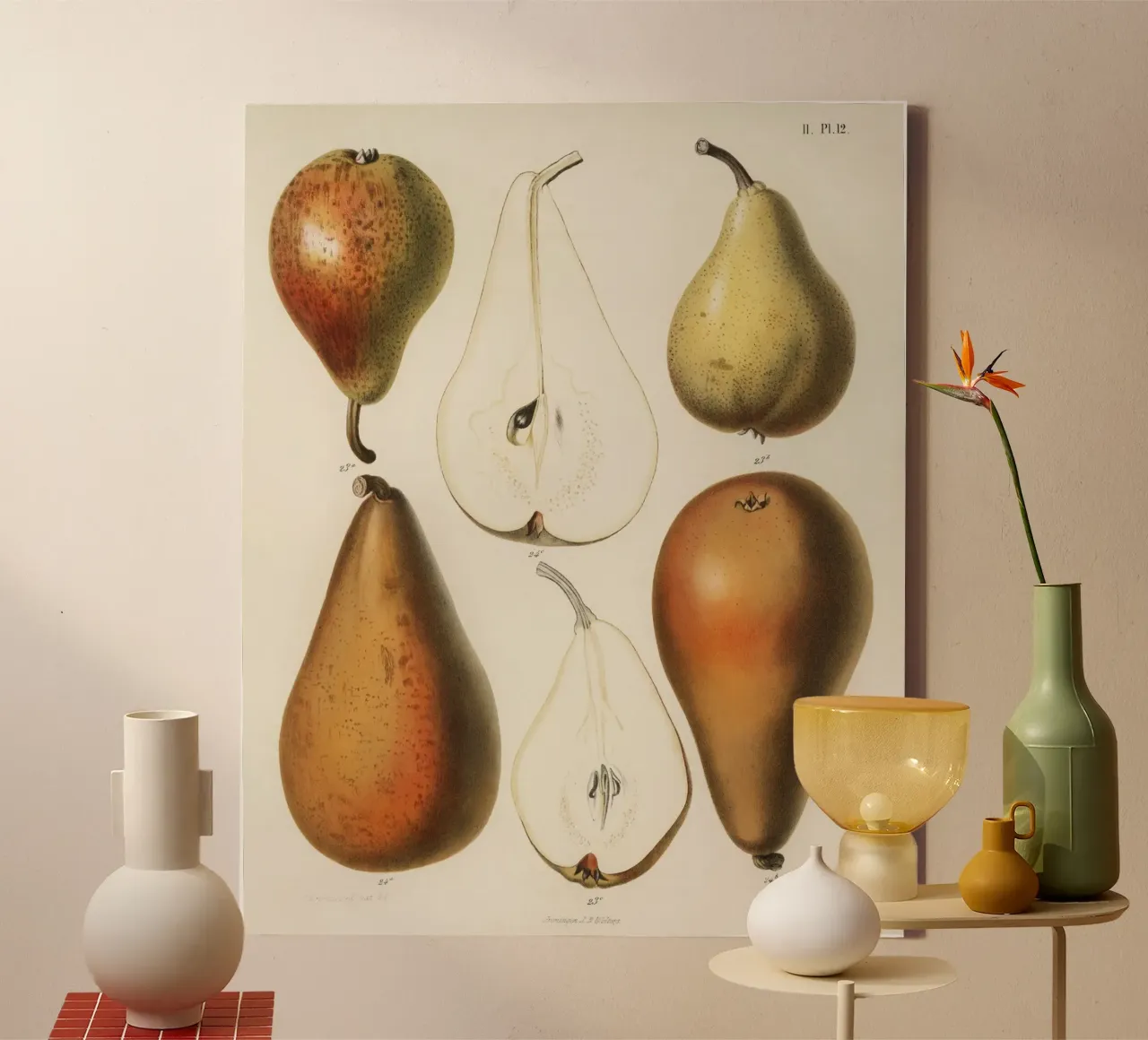 vintage  fresh pears printed canvas with Floater frame by vintageshop