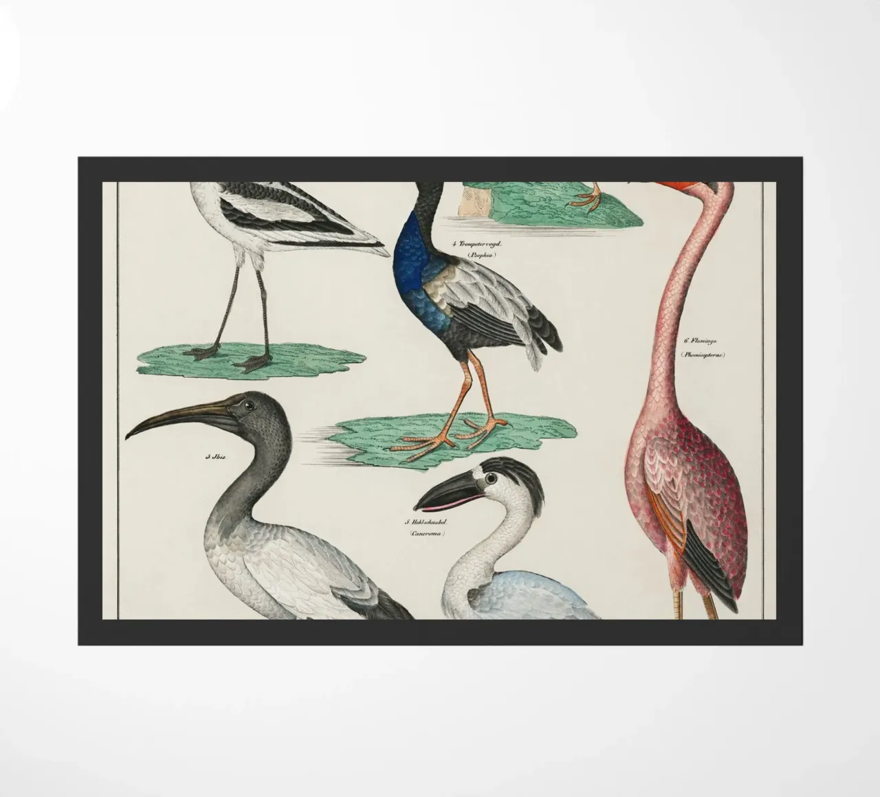 birds zerbino da vintageshop