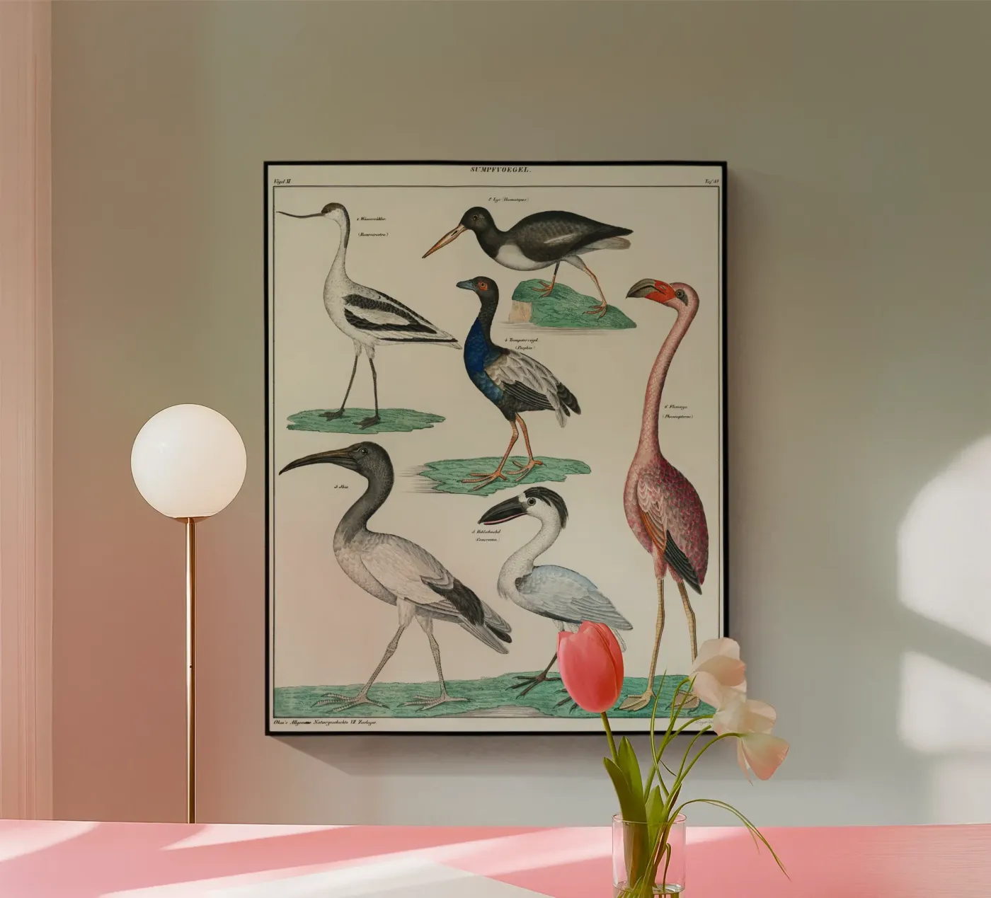 birds plexiglas de vintageshop
