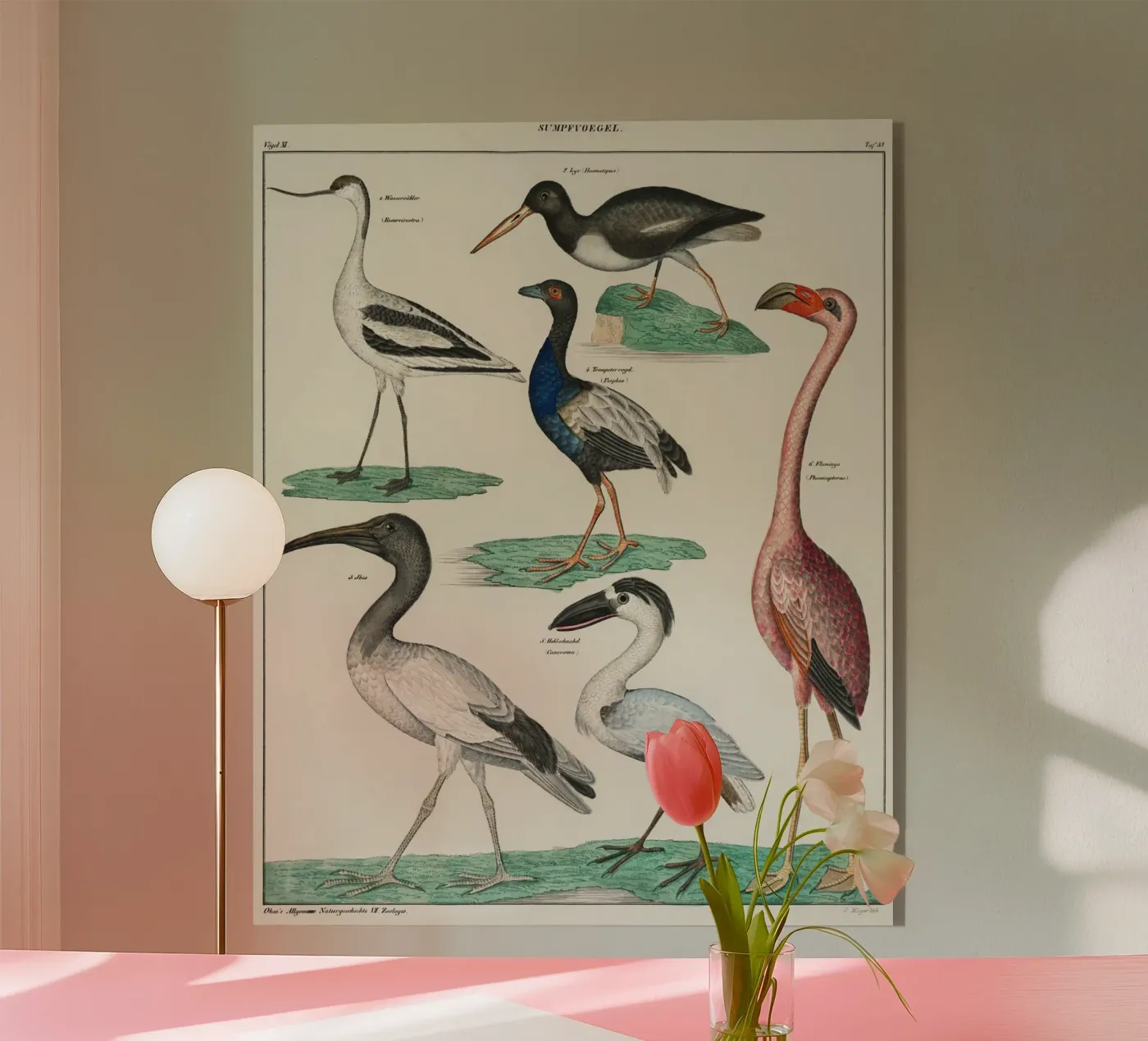birds plexiglas de vintageshop
