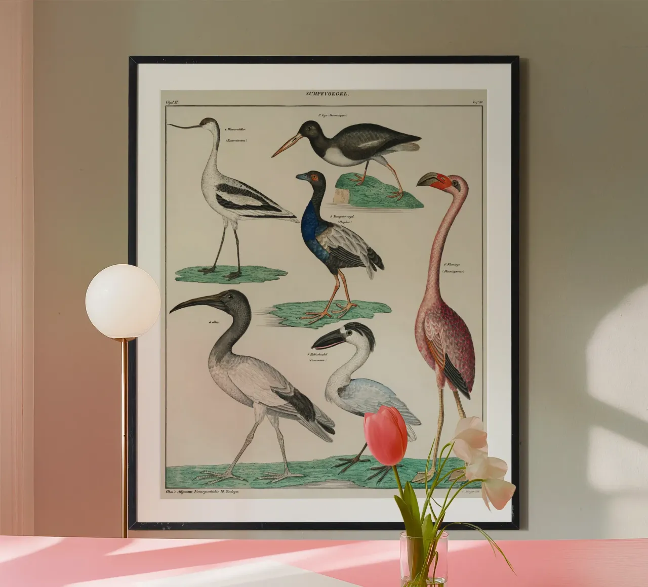 birds poster da vintageshop
