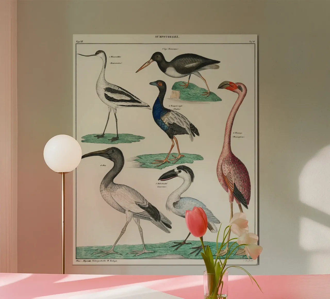 birds poster da vintageshop