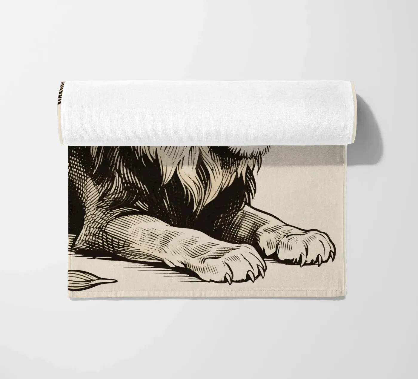 Lion telo mare da knowledge