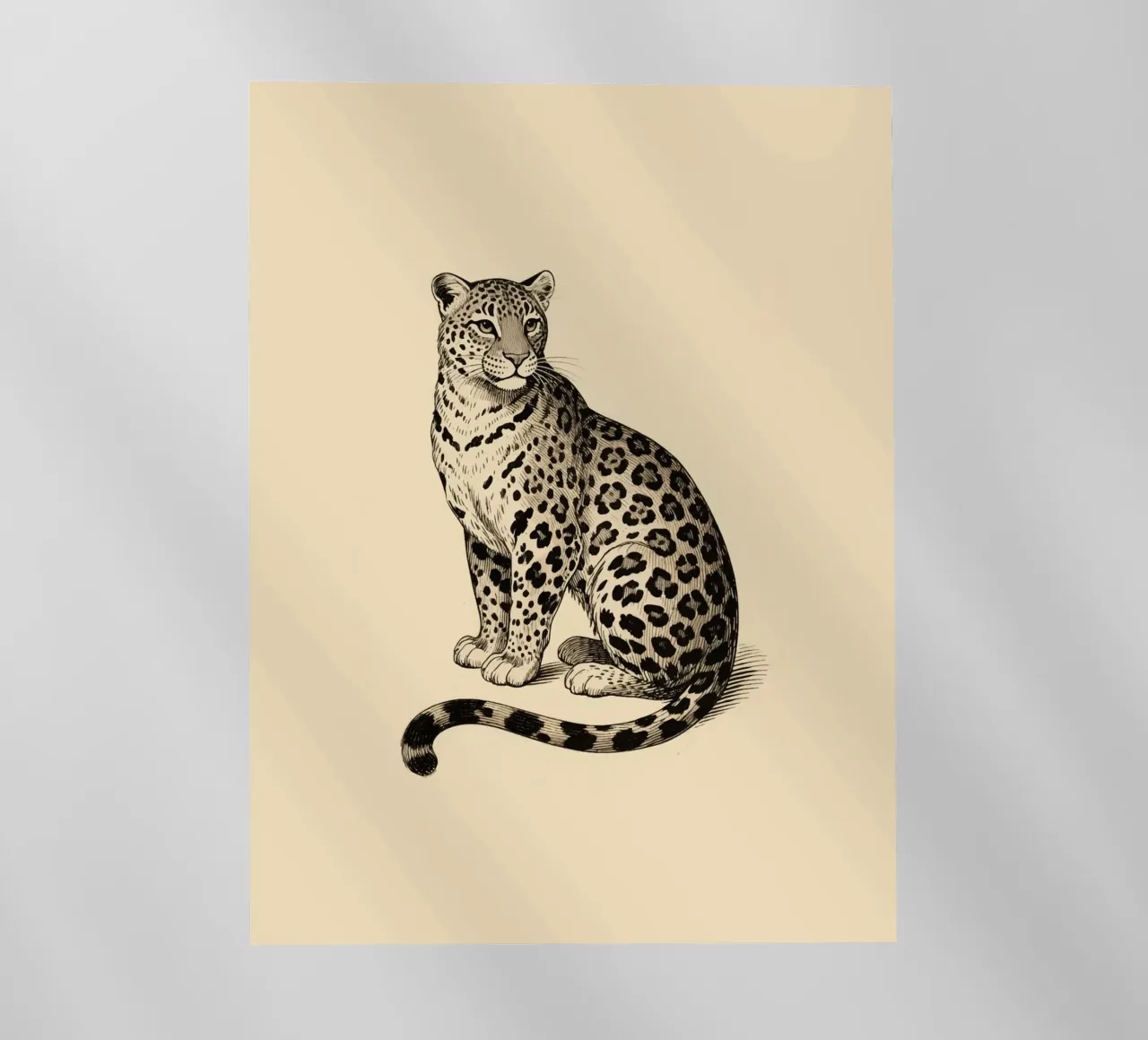 Leopardo pellicola backlit da knowledge