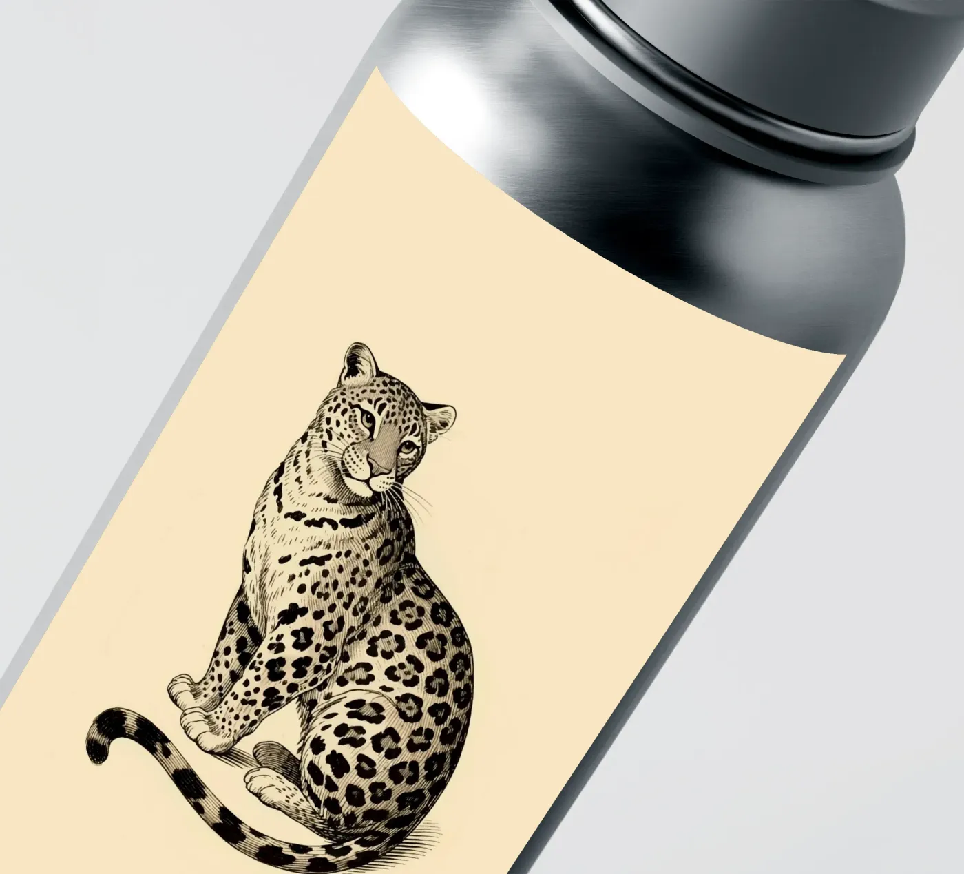 Leopard Sticker von knowledge