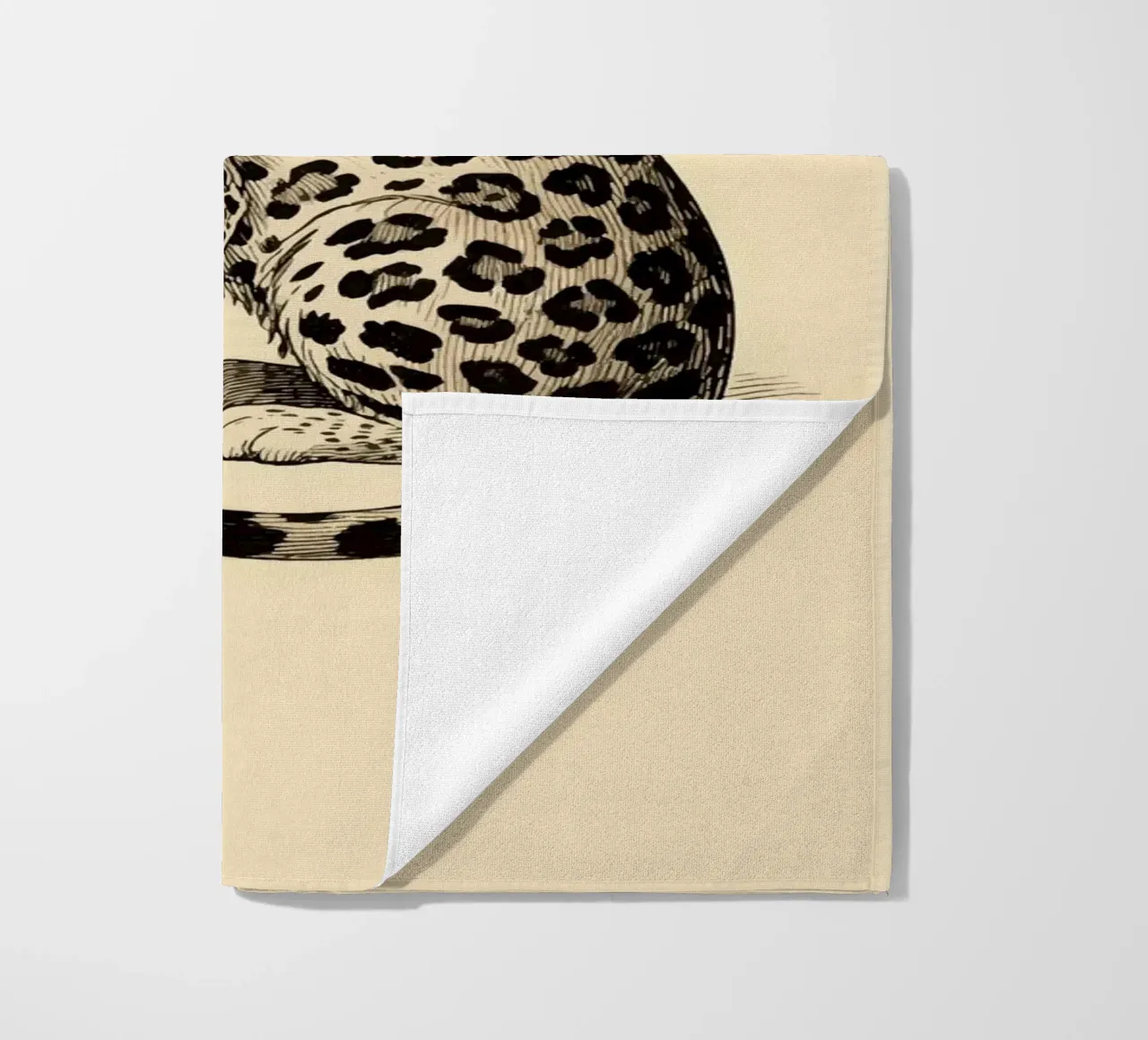 Leopardo telo mare da knowledge