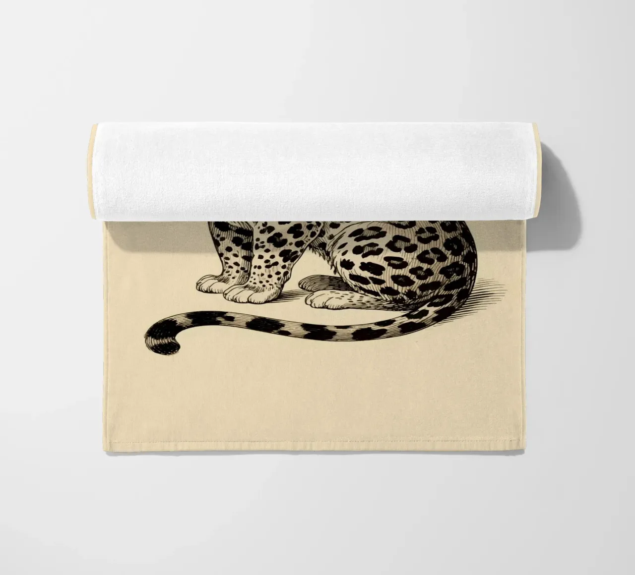 Leopardo telo mare da knowledge