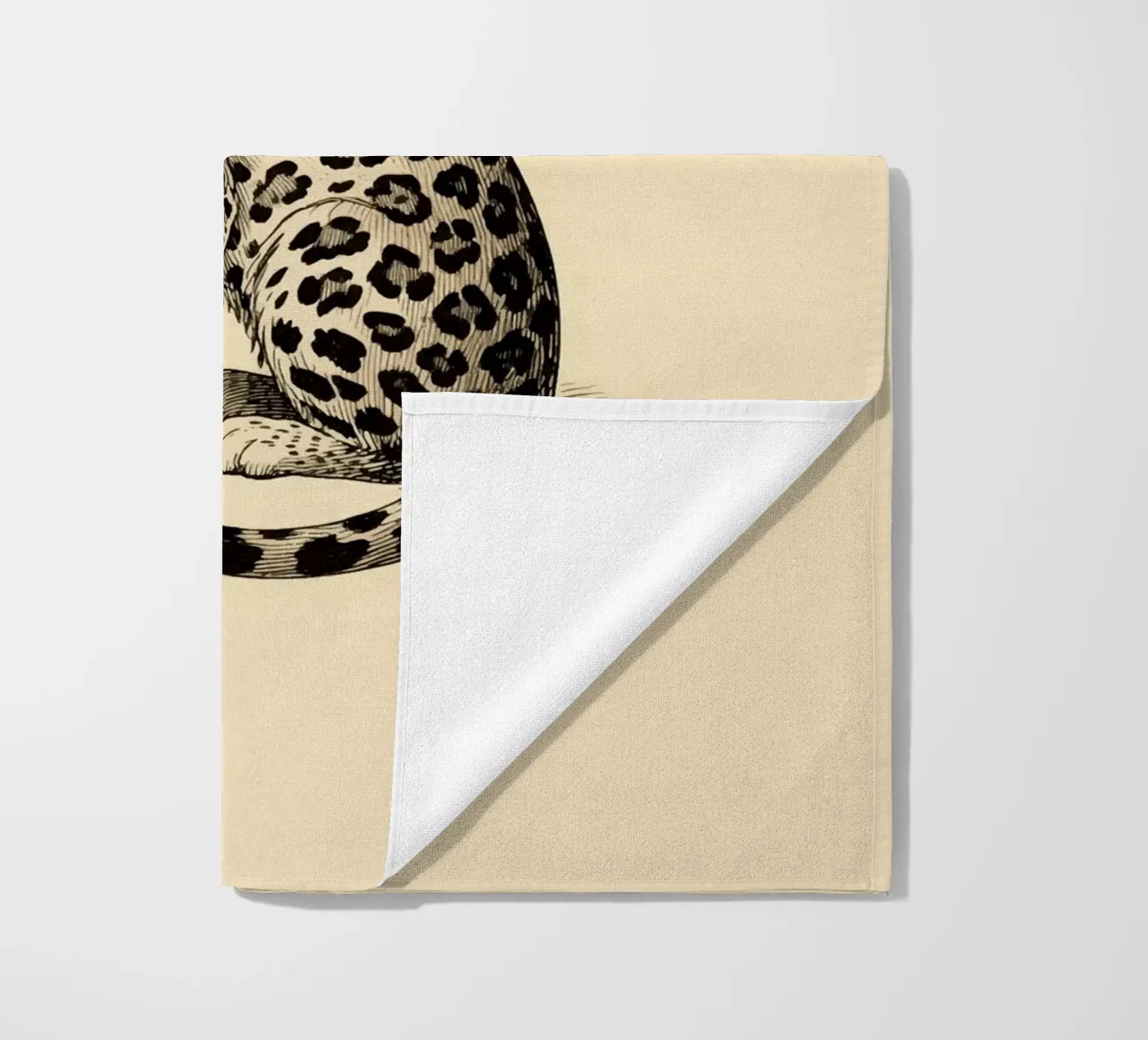 Leopardo telo mare da knowledge