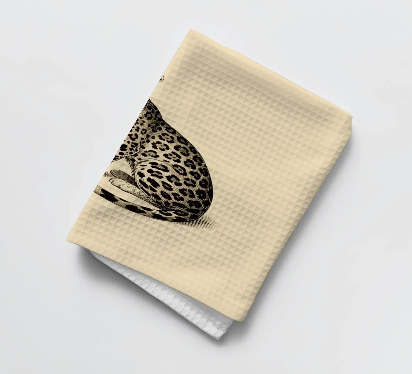 Leopardo canovaccio da cucina da knowledge