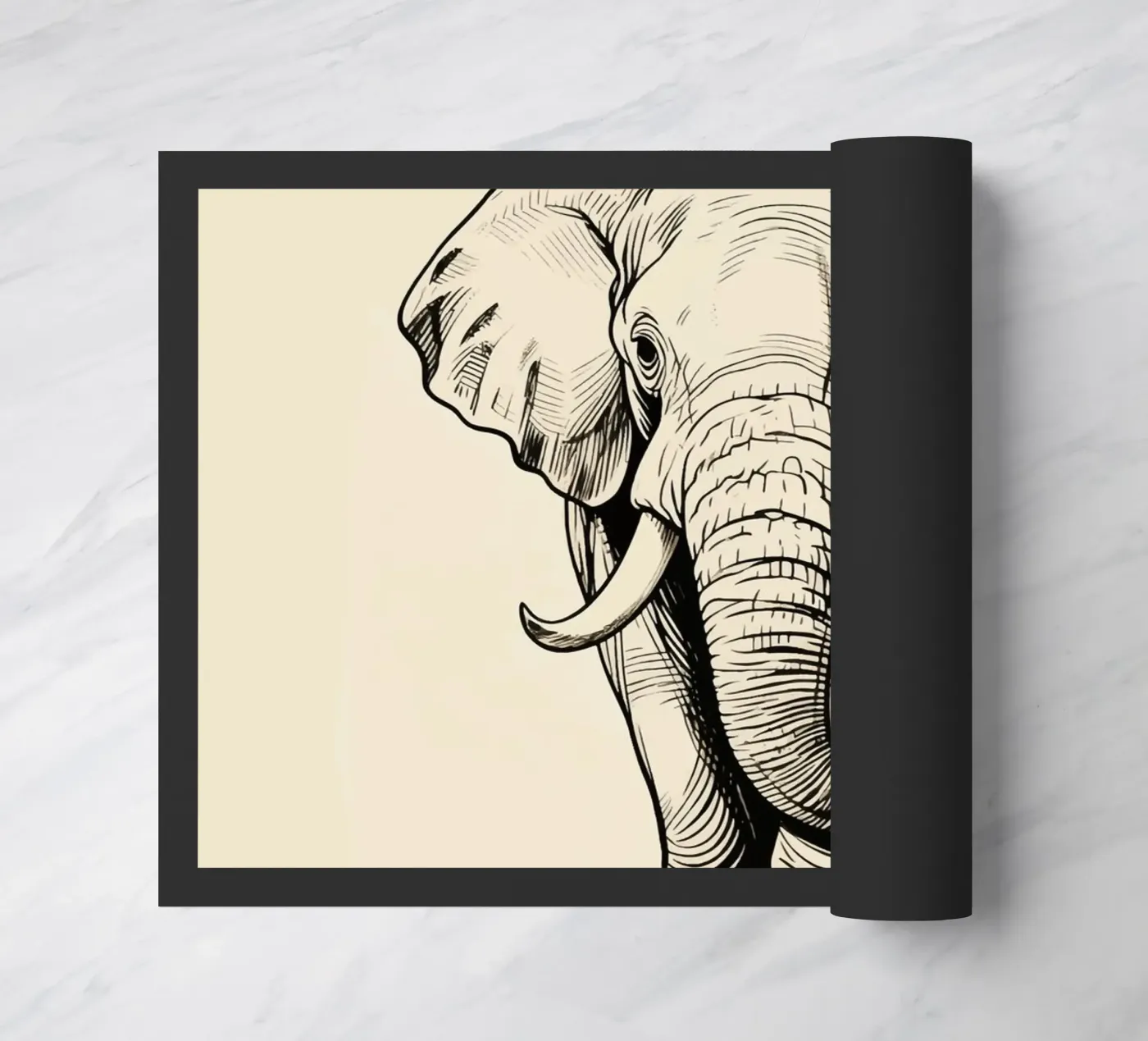 Elefante zerbino da knowledge