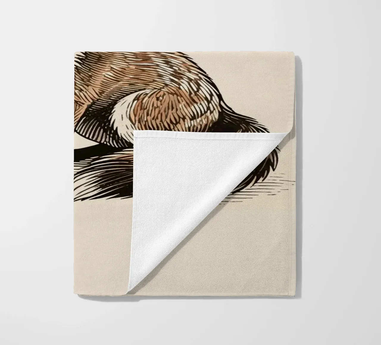 Volpe telo mare da knowledge