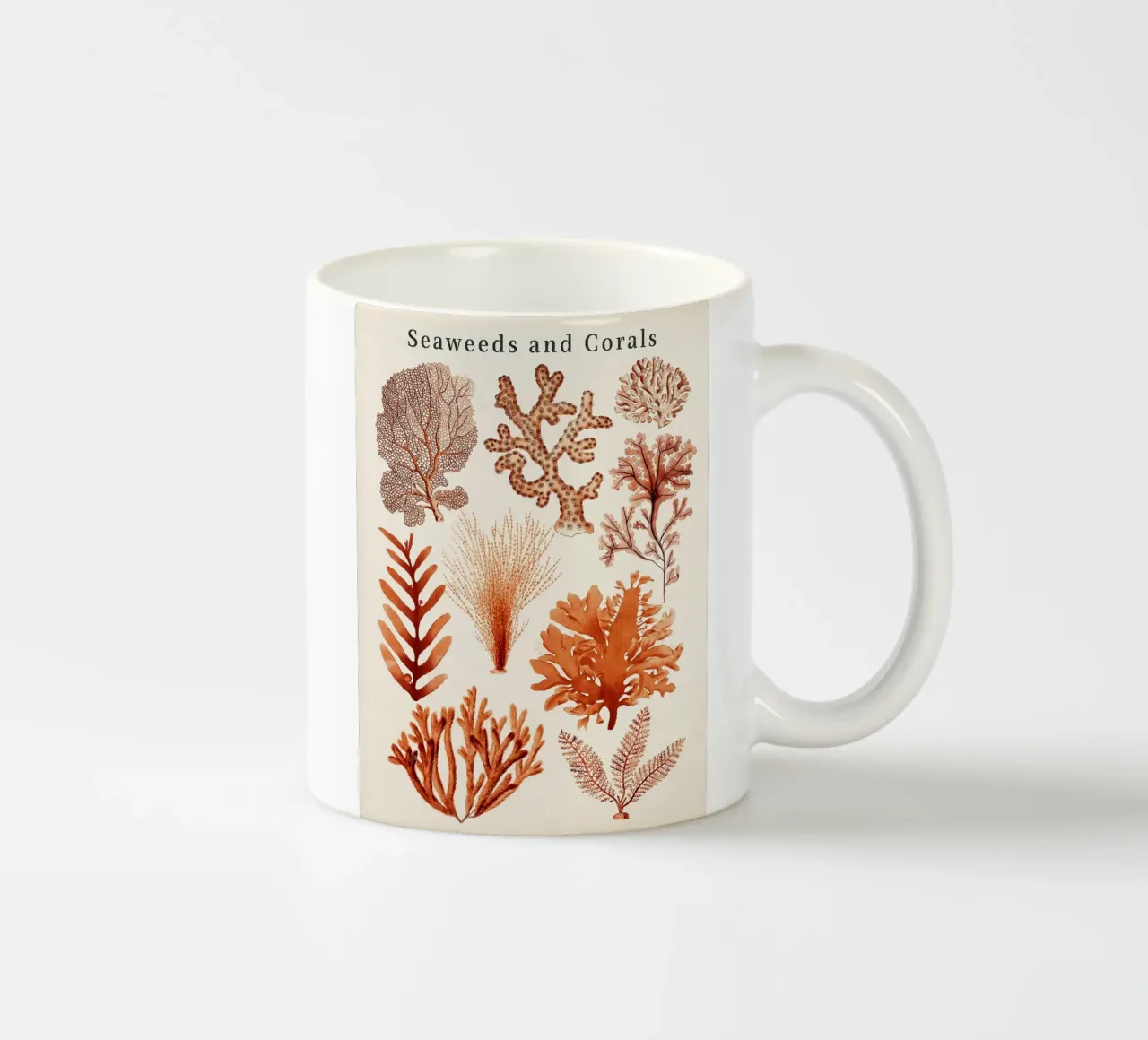 Alghe e coralli tazza in ceramica da Eldon S Kiser
