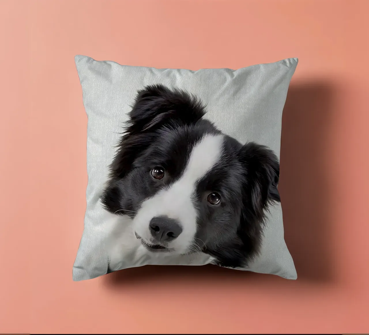 Border Collie colorato cuscino da Leonard R Sadler
