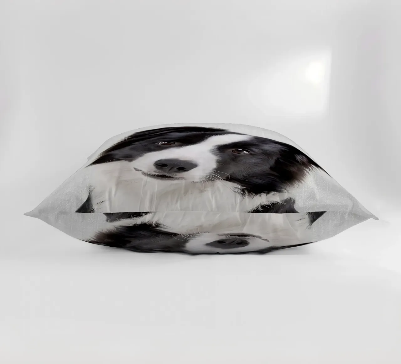 Border Collie colorato cuscino da Leonard R Sadler