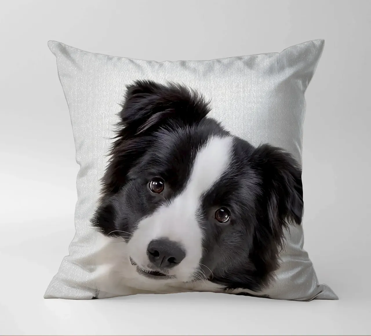 Border Collie colorato cuscino da Leonard R Sadler