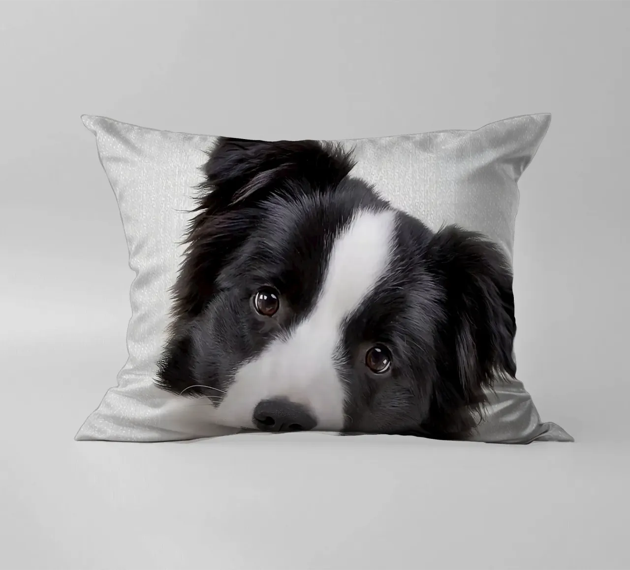 Border Collie colorato cuscino da Leonard R Sadler