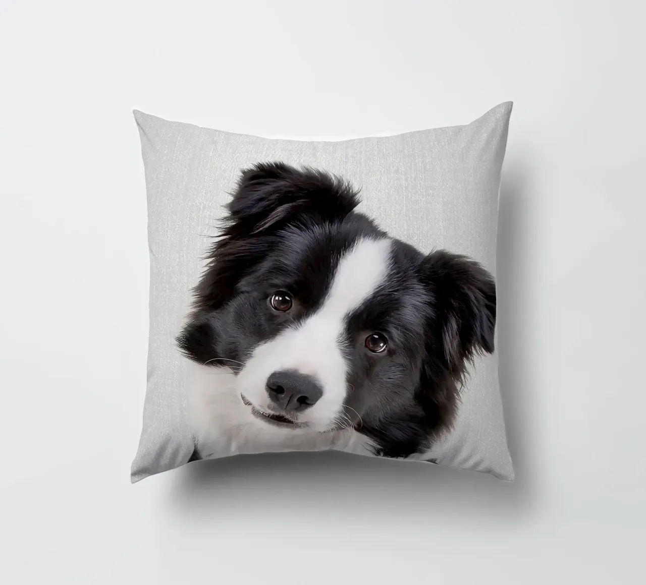 Border Collie colorato cuscino da Leonard R Sadler