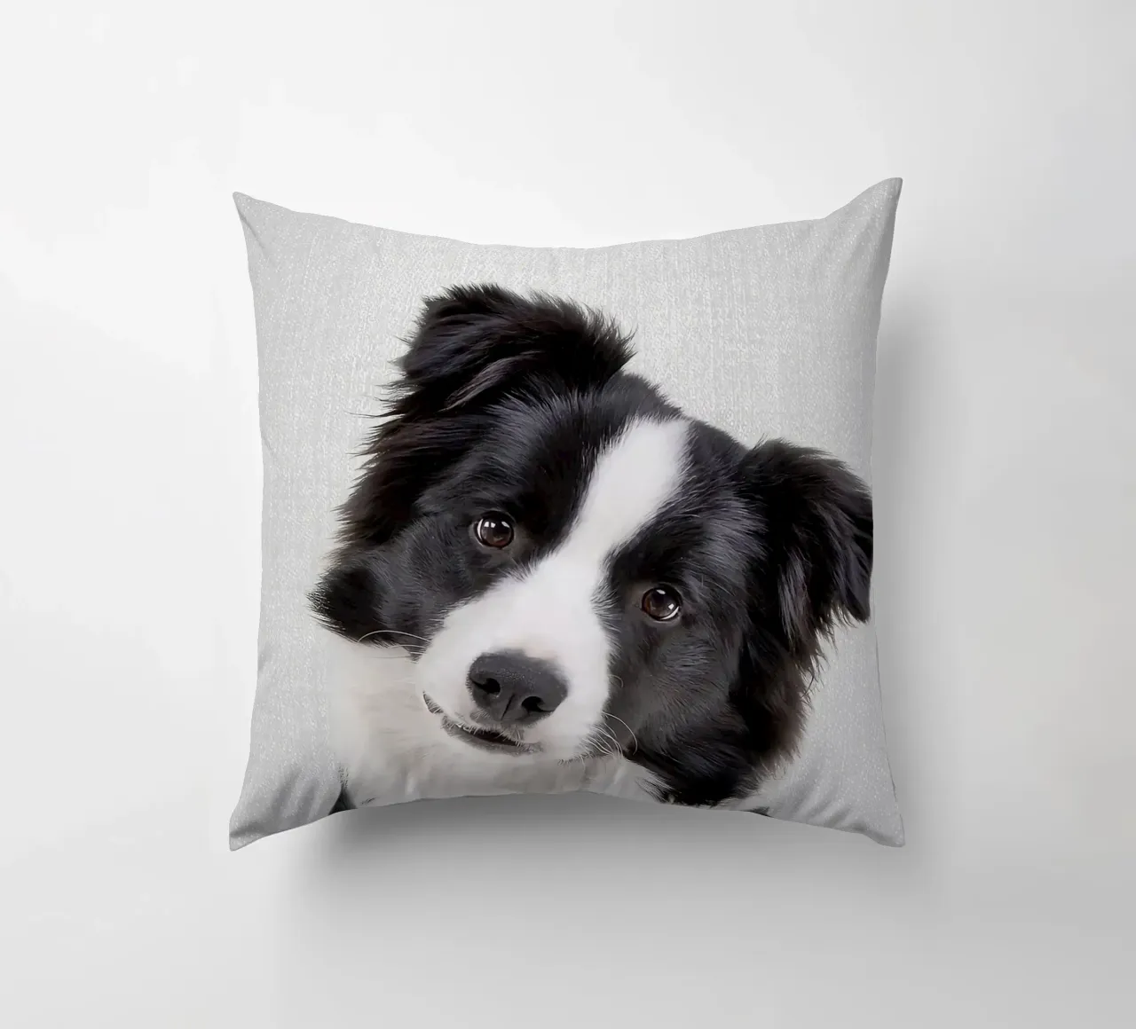 Border Collie colorato cuscino da Leonard R Sadler