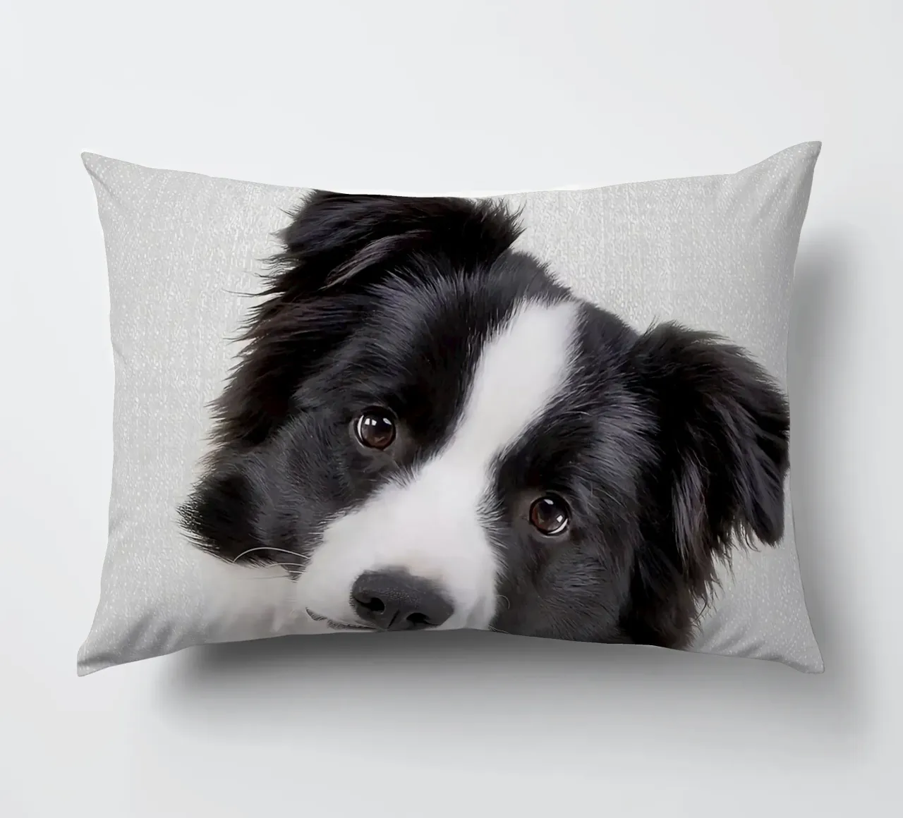 Border Collie colorato cuscino da Leonard R Sadler