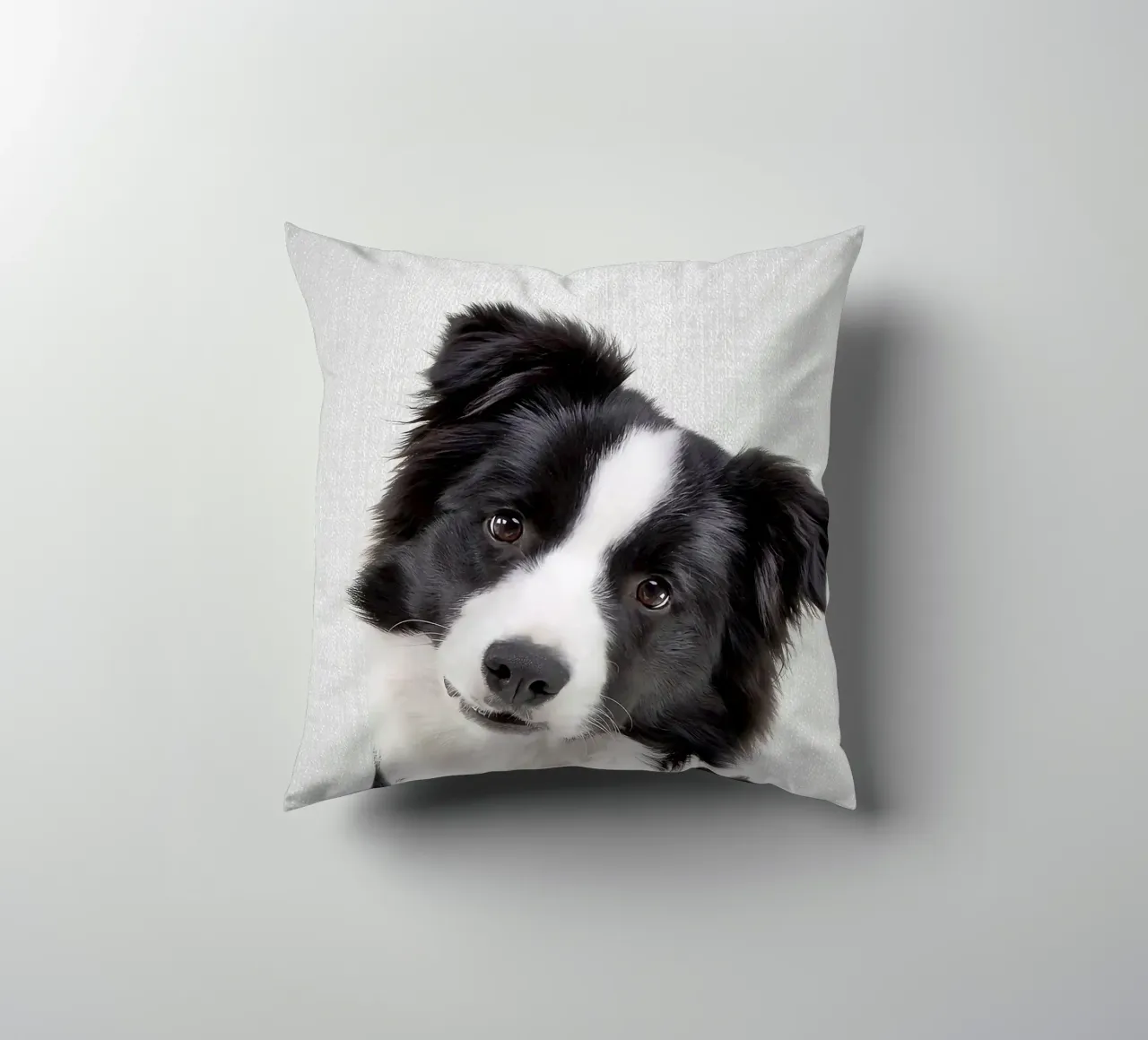 Border Collie colorato cuscino da Leonard R Sadler