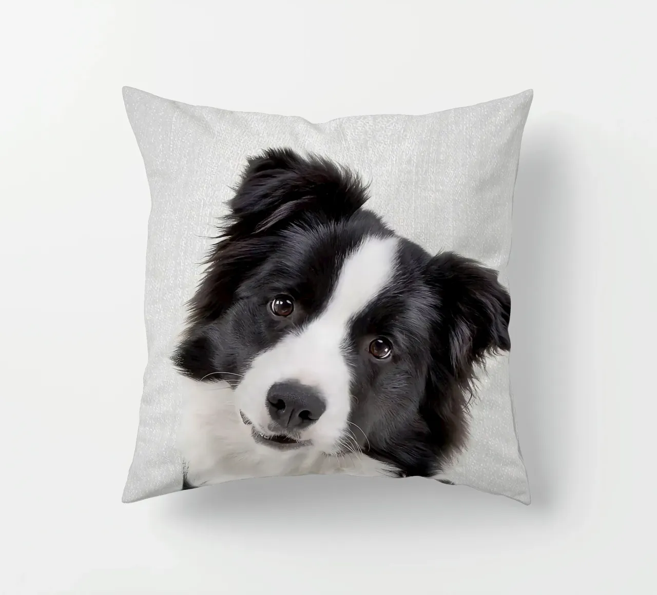Border Collie colorato cuscino da Leonard R Sadler