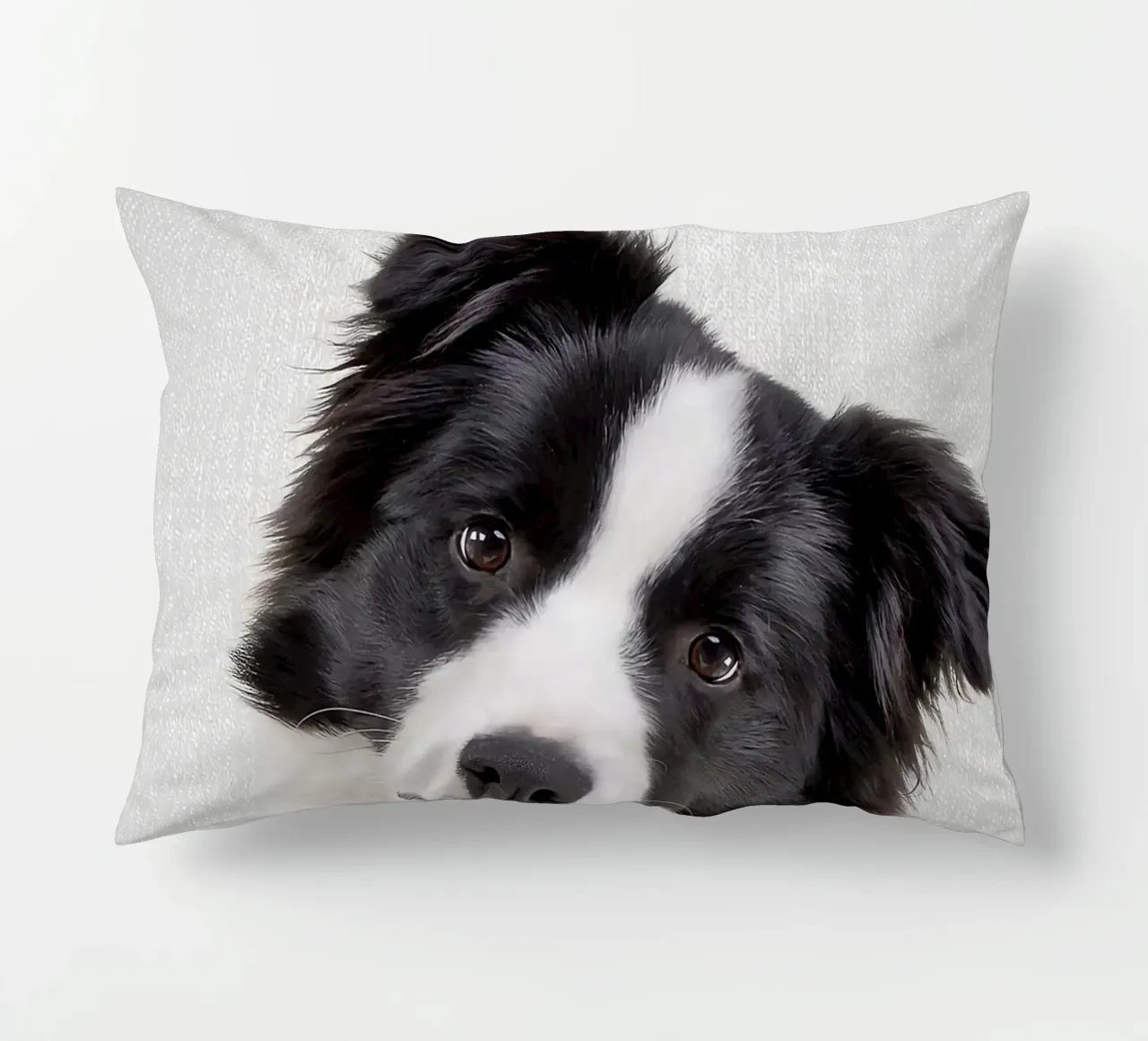 Border Collie colorato cuscino da Leonard R Sadler