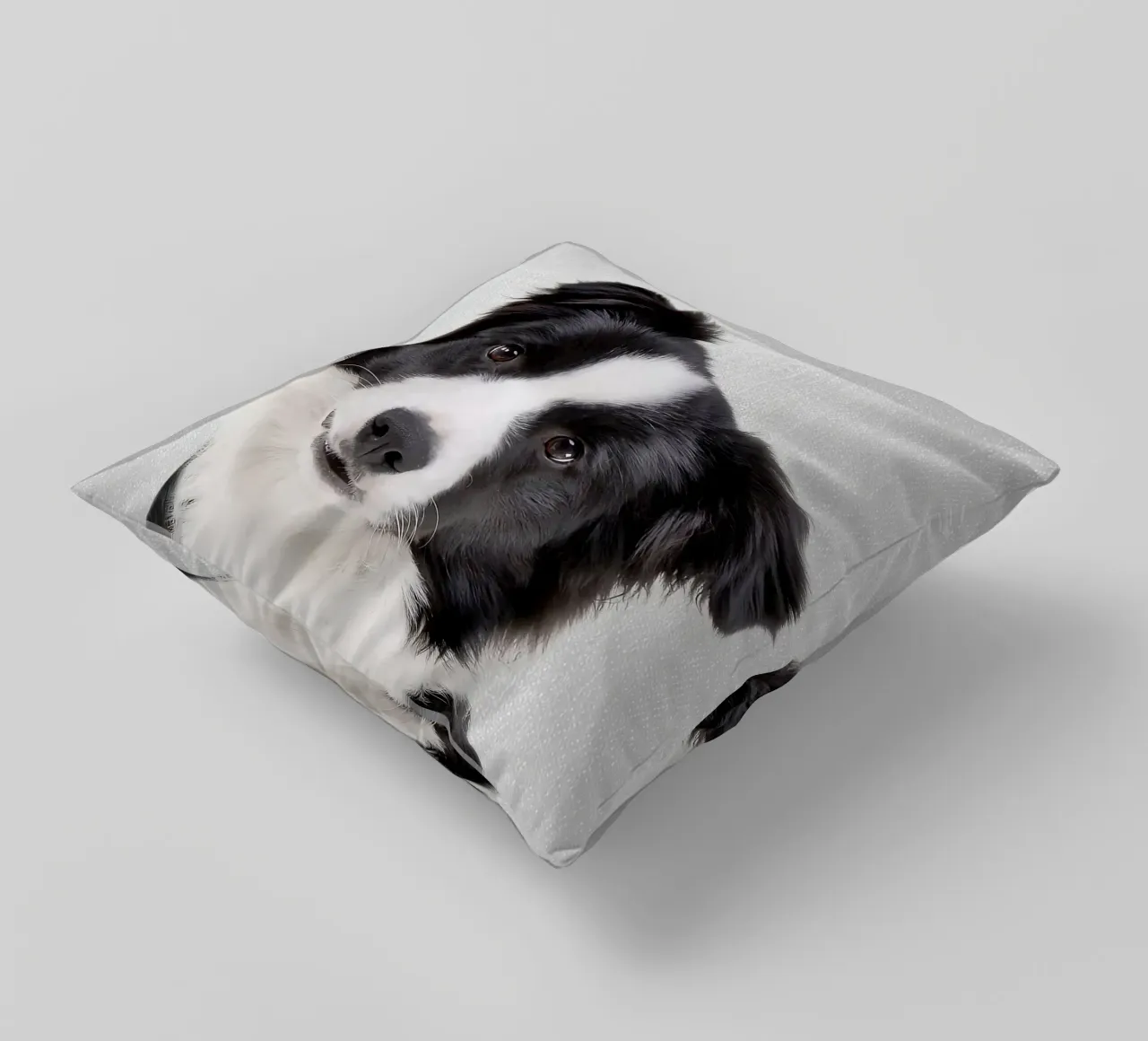 Border Collie colorato cuscino da Leonard R Sadler