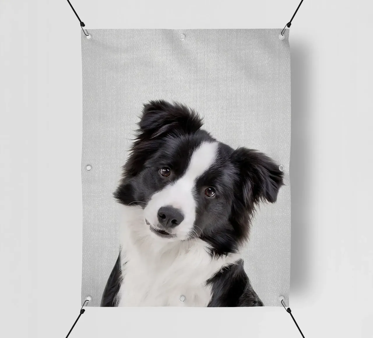 Border Collie colorato telo in pvc da Leonard R Sadler
