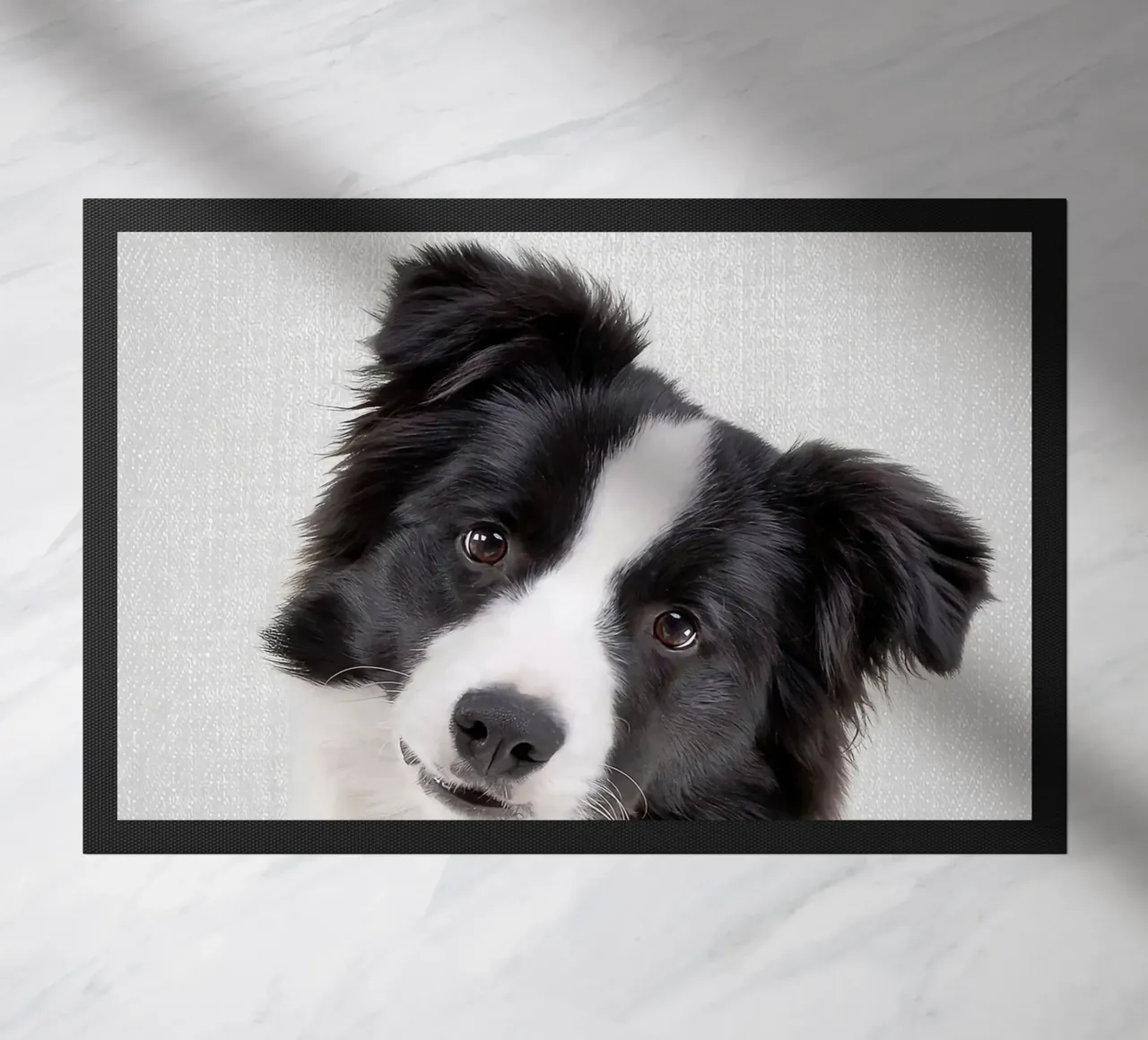 Border Collie colorato zerbino da Leonard R Sadler