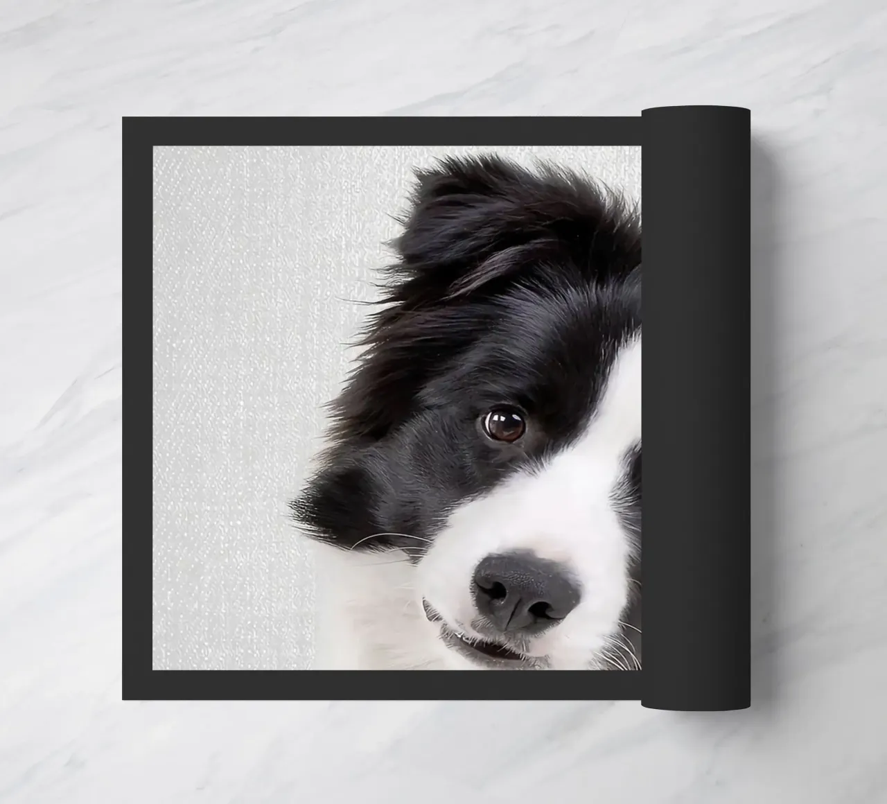 Border Collie colorato zerbino da Leonard R Sadler