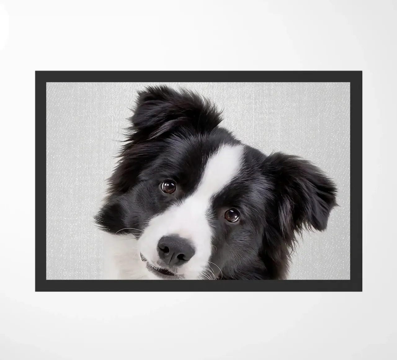 Border Collie colorato zerbino da Leonard R Sadler