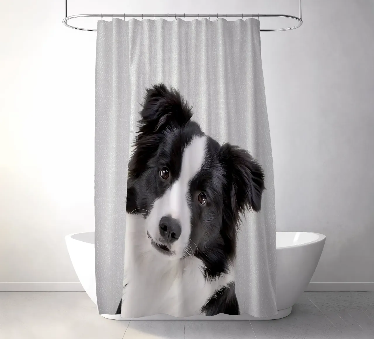 Border Collie colorato tenda da doccia da Leonard R Sadler