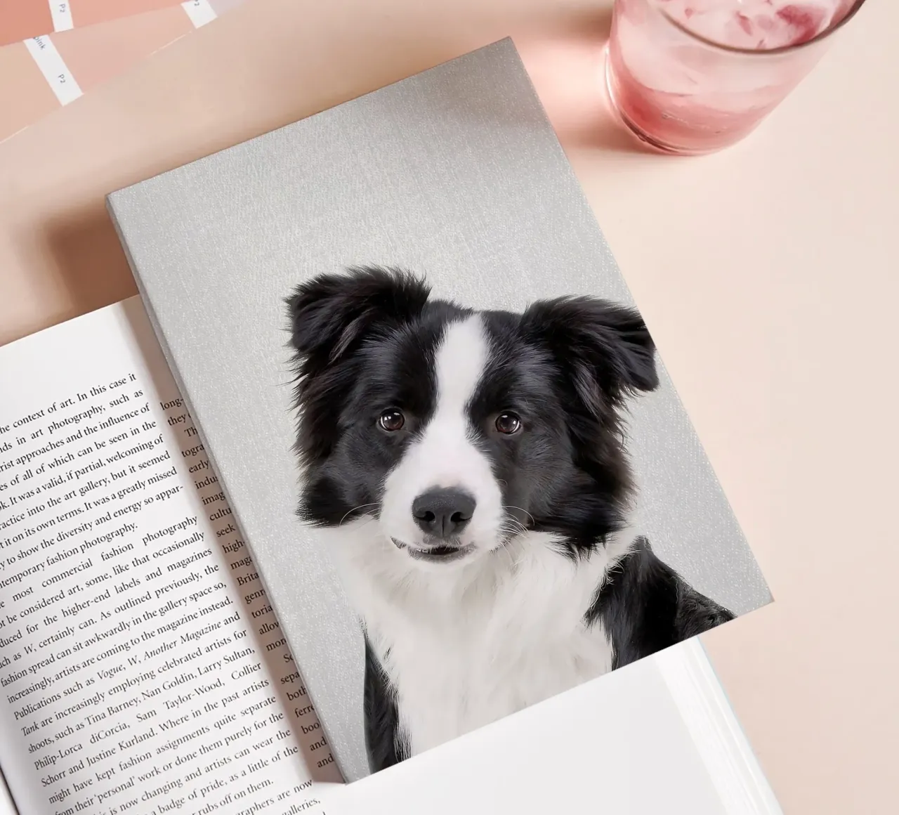 Border Collie Colorful notebook by Leonard R Sadler