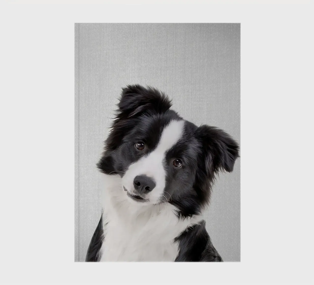 Border Collie Colorful notebook by Leonard R Sadler