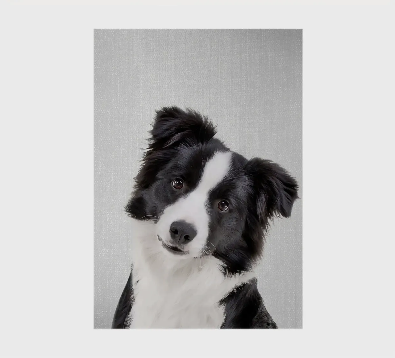 Border Collie Colorful notebook by Leonard R Sadler