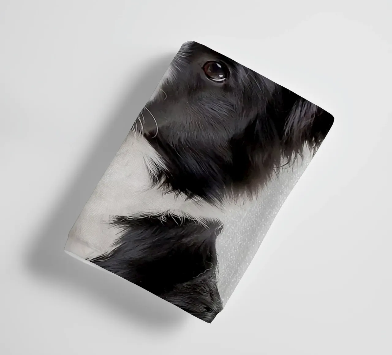 Border Collie colorato asciugamano da bagno da Leonard R Sadler