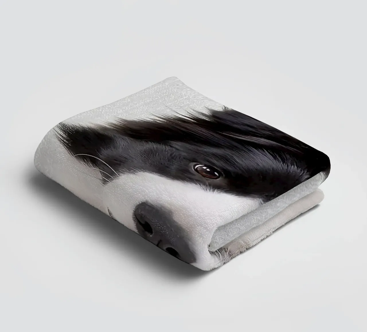 Border Collie colorato asciugamano da bagno da Leonard R Sadler