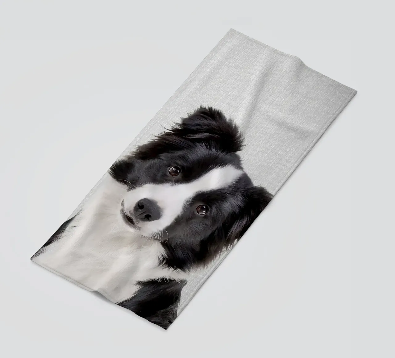 Border Collie colorato telo mare da Leonard R Sadler