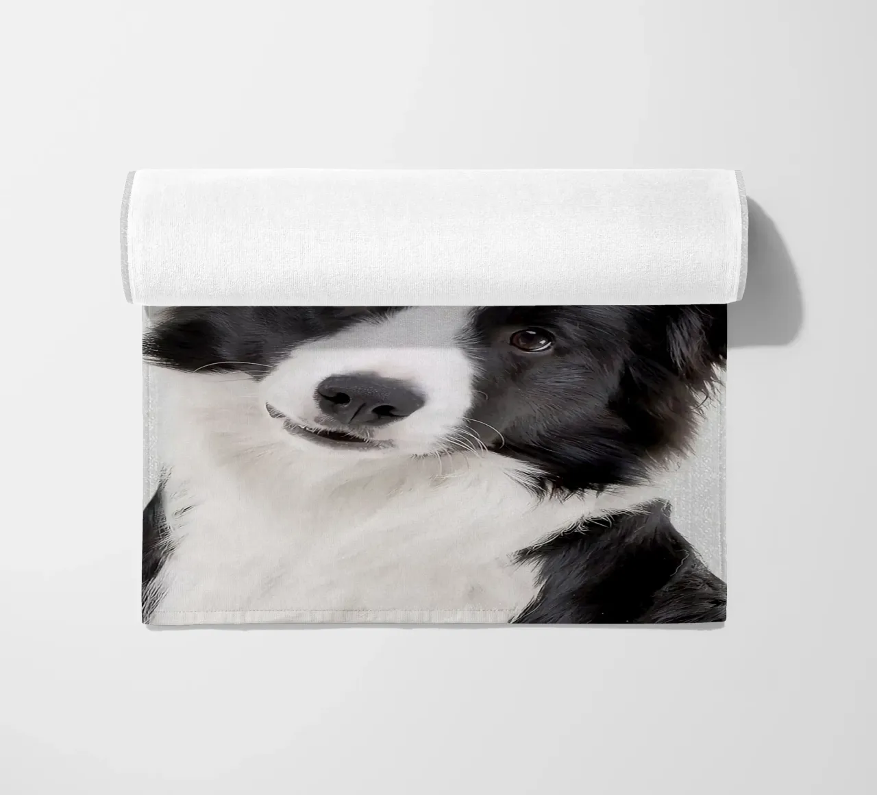 Border Collie colorato telo mare da Leonard R Sadler