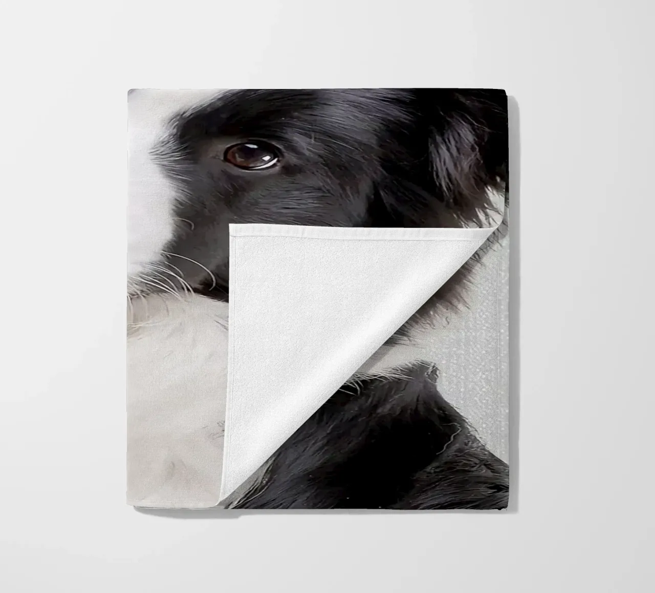 Border Collie colorato telo mare da Leonard R Sadler