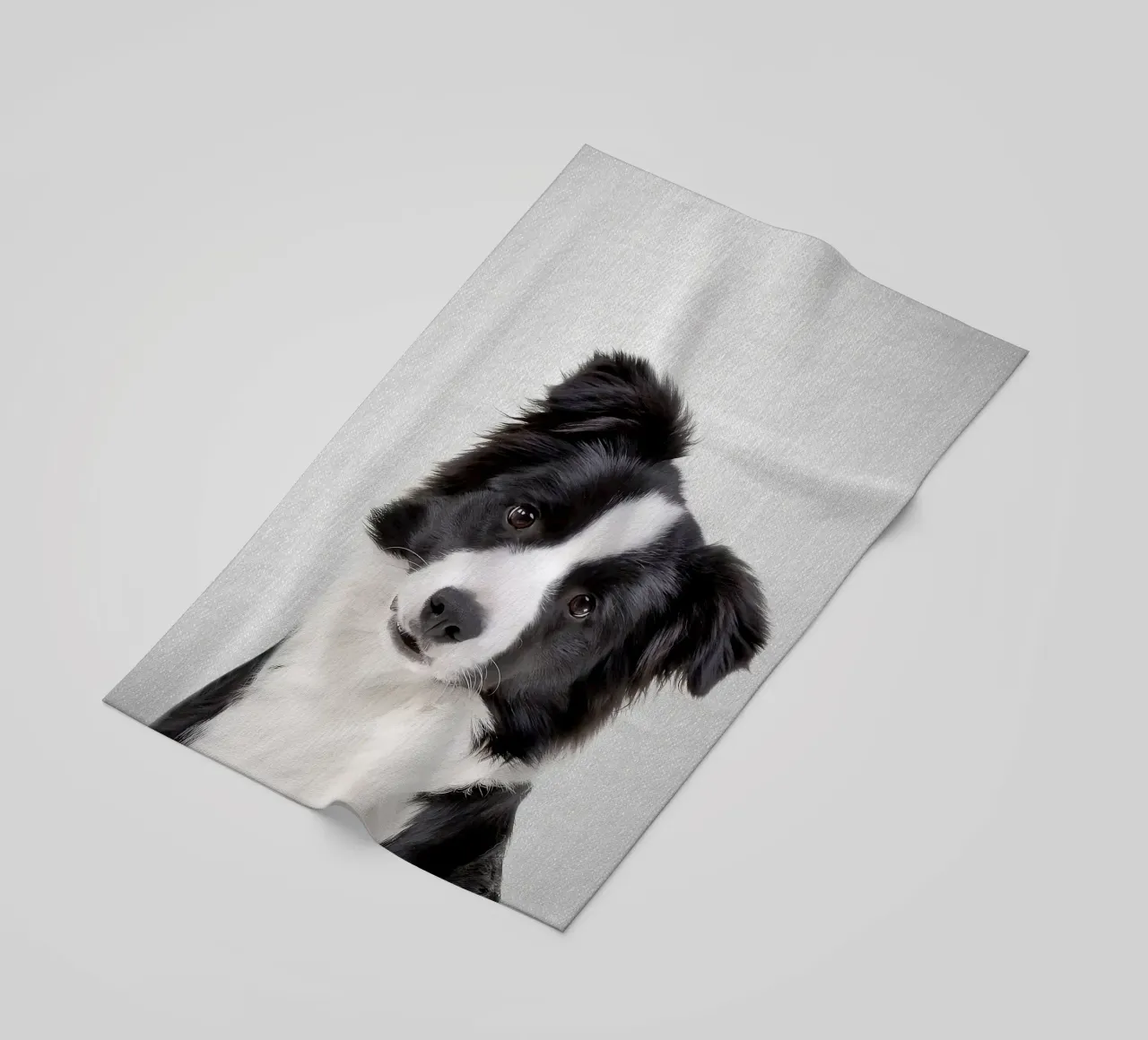 Border Collie colorato telo mare da Leonard R Sadler