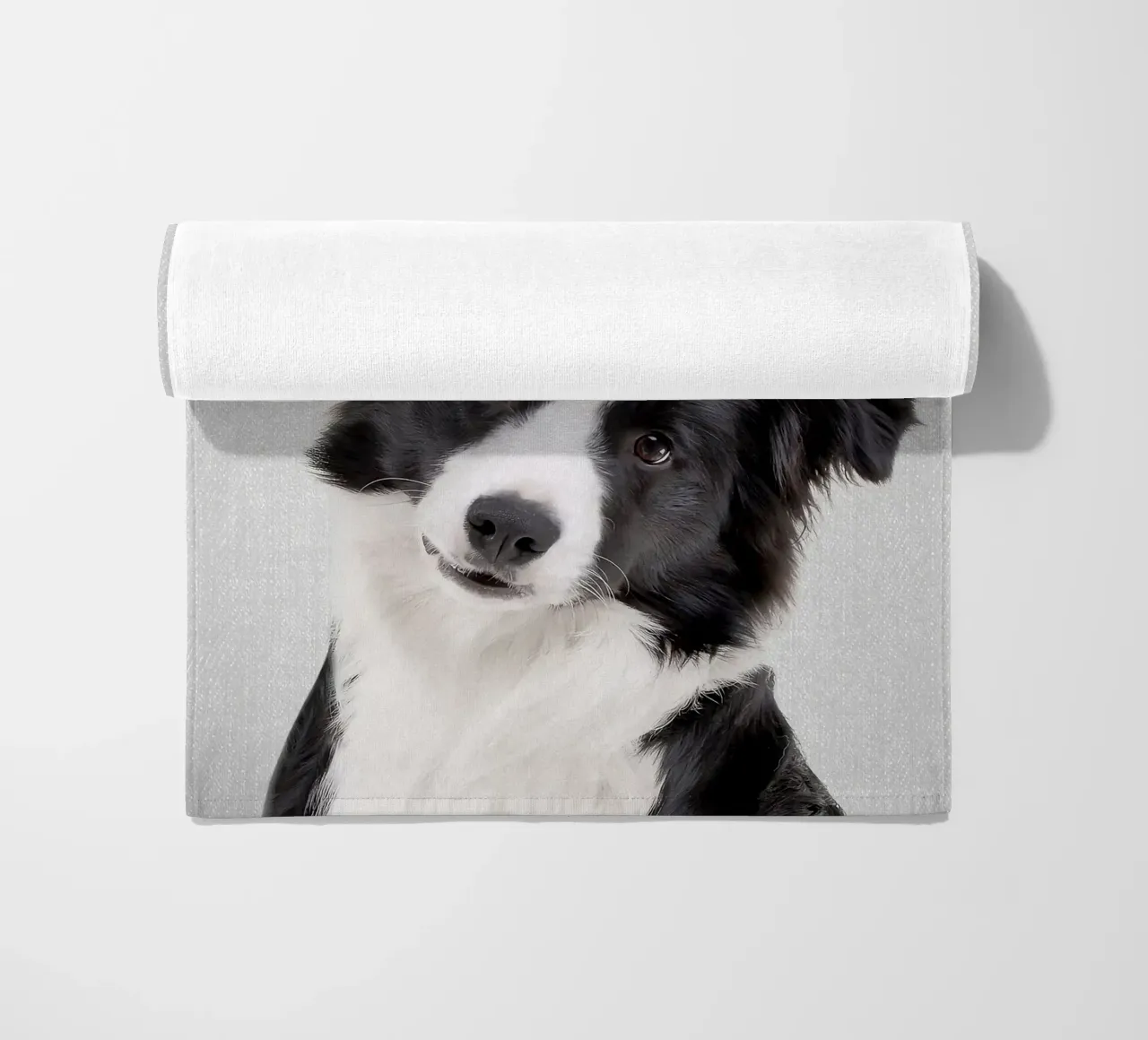 Border Collie colorato telo mare da Leonard R Sadler