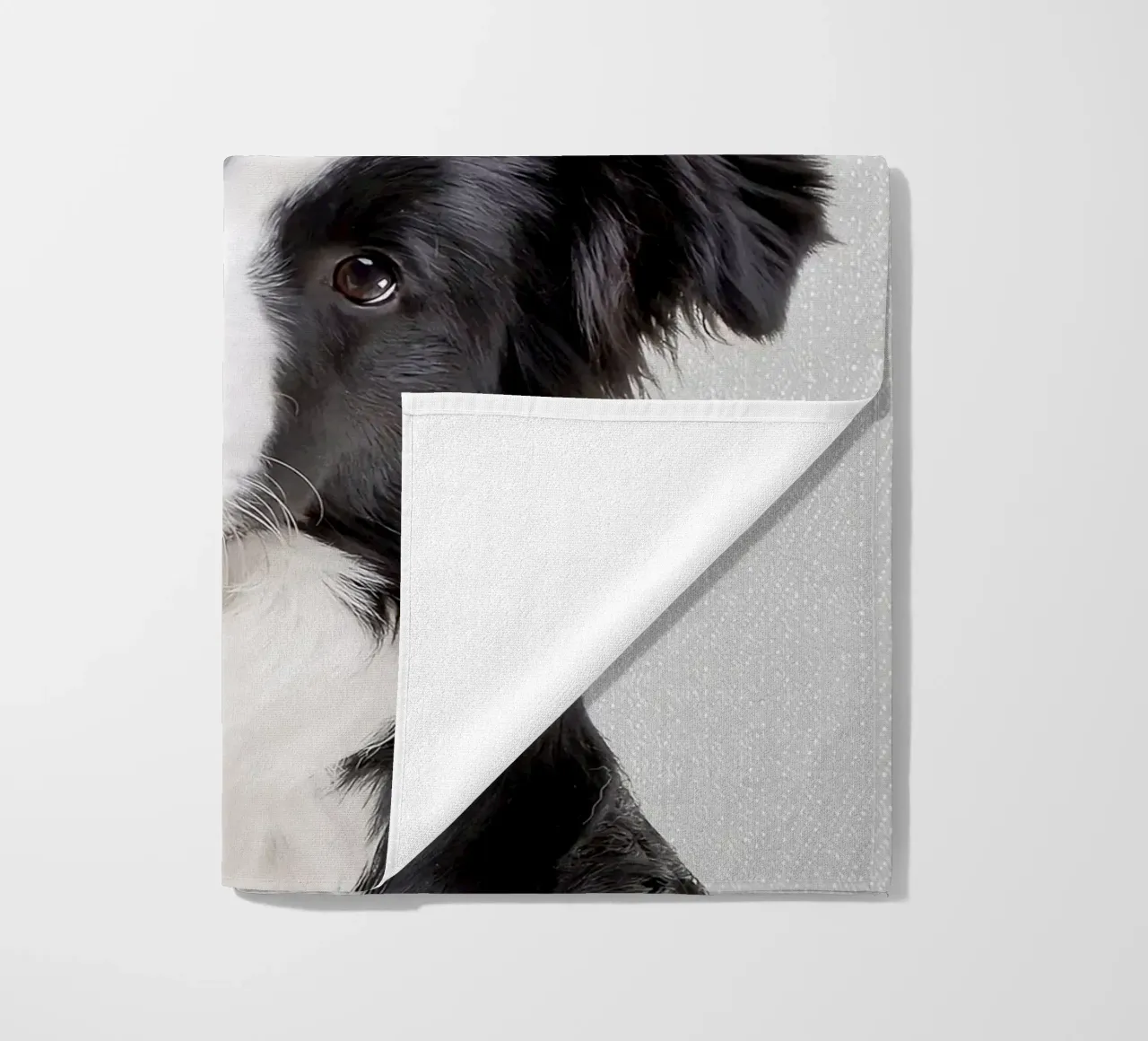 Border Collie colorato telo mare da Leonard R Sadler