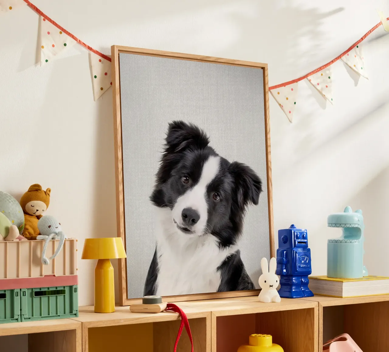 Border Collie colorato plexiglass da Leonard R Sadler